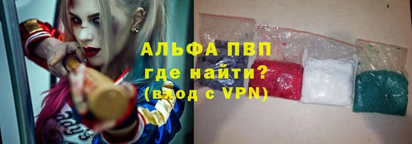сатива Елабуга