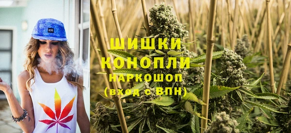 сатива Елабуга