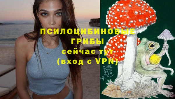 a pvp Елизово