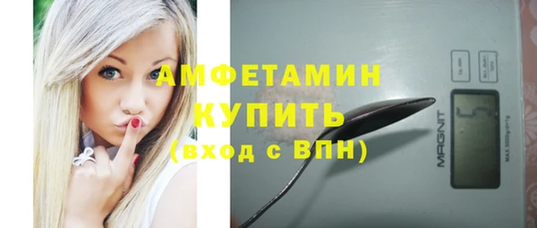 сатива Елабуга