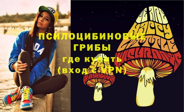 гашиш Ельня
