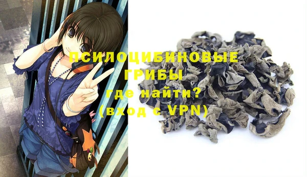 гашиш Ельня