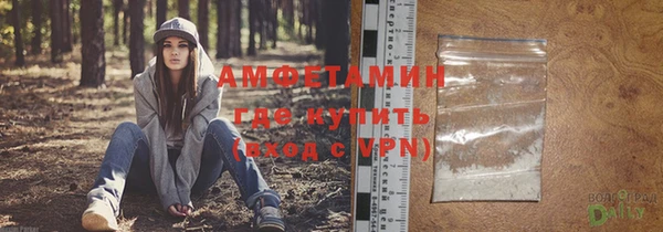 сатива Елабуга