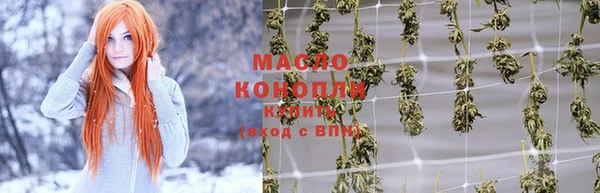 сатива Елабуга