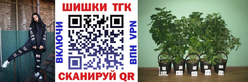 Канабис ГИДРОПОН  Купить закладки  Лесозаводск 